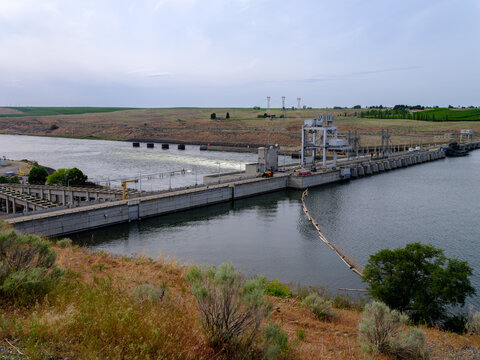 Log Boom At The Ice Harbor Dam, Washington, USA