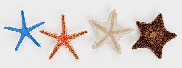 Fototapeta na wymiar Realistic 3D Render of Starfish Collection