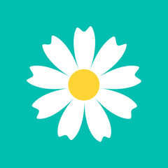 Daisy chamomile round icon. White flower. Camomile petal. Cute plant collection. Love card. Growing concept. Happy Valentines Day decoration. Flat design. Green background. Isolated.
