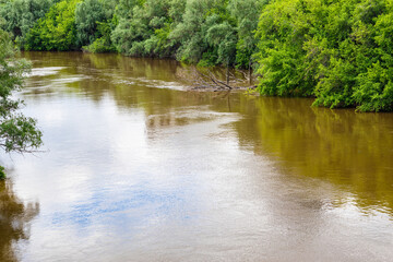 The Om River in Siberia flooded the trees on the bank in the spring. Beautiful natural background.