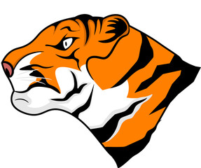 tiger side view mouth closed illustration