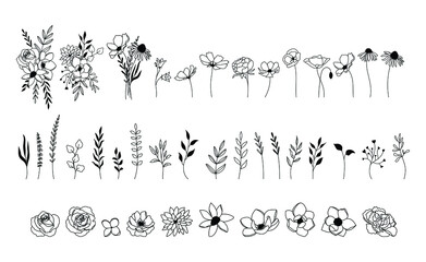 Wildflower vector set, floral collection, botanical elements - obrazy, fototapety, plakaty
