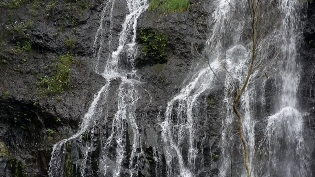 beautiful waterfall in the midle of forest