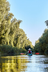 Fototapeta na wymiar Woman row in blue kayak at wilderness areas of Danube river near green trees and thickets of wild grapes at spring