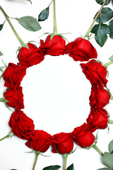 Frame of red roses on a white background with space for text. Top view, flat lay. Valentine decoration.