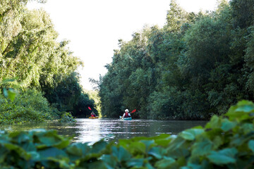 Women row on two kayaks near green trees and thickets of wild grapes at Danube river at spring. Kayaking in wilderness areas.