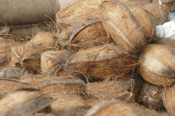 Close-up shot of the coconuts in their initial uncleared form in the Udaipur market in India.
