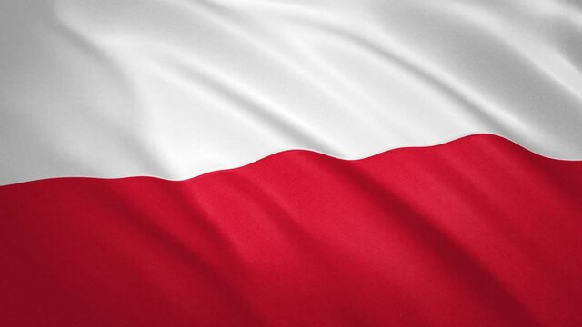 Poland . Waving Flag Video Background