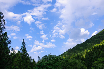 梅雨の晴れ間
