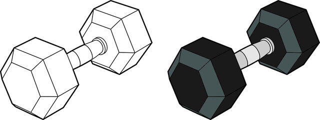 Dumbbell vector drawing line art and colored