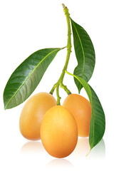 Sweet Yellow Marian Plum or Thai Plango isolated on white background,with clipping path.