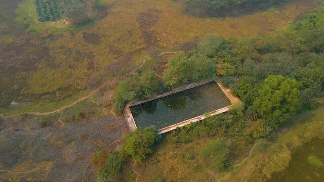 Drone view of a mossy abandoned swimming pool in the countryside of India.