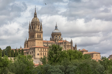 Fototapeta na wymiar Majestic view at the gothic building at the Salamanca cathedral tower cupola dome and University of Salamanca tower cupola dome