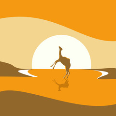 A camel stands in the desert at sunset. Vector illustration.