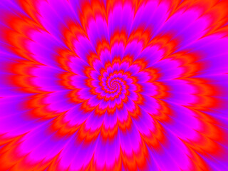 Scarlet flower. Red flower blossom. Motion illusion.