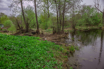 nature of Russia spring river