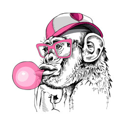 Obraz Małpa w czapce