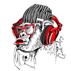 Obraz Śmieszna małpa w hipsterskiej czapce