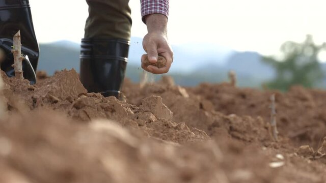 Smart farmer checks quality of soil before sowing. The farmer tests soil the growth quality of seedling.Agriculture concept.
