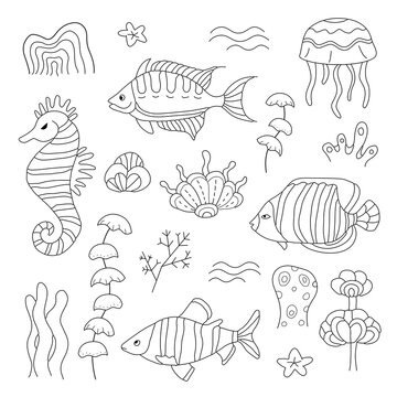 Underwater life in the sea, ocean. Hand drawn coloring for kids and adults. Beautiful simple drawings with patterns. Coloring book pictures with fish. Vector