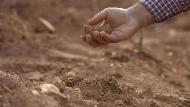 Smart farmer checks quality of soil before sowing. The farmer tests soil the growth quality of seedling.Agriculture concept.
