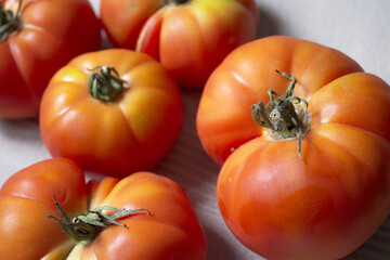 Group of uncooked raw red tomatoes