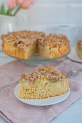 Home made Sweet Rhubarb cake with fresh rhubarb and cinnamon streusel
