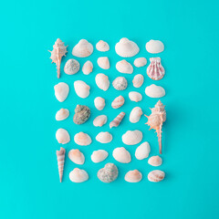 Creative seashells arrangement on pastel blue backgorund. Minimal summer concept. Flat lay.