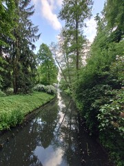 Fototapeta na wymiar Trees over canal in Park, Łazienki Royal Park