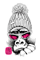 Vector illustration. Portrait of Monkey in a pink glasses and in a knitted cap with pom pom. Stay cool - lettering quote. Poster, t-shirt composition, hand drawn style print.