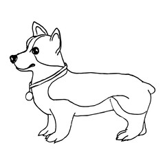 Doodle is a cute corgi dog on a white background.Vector animal can be used in coloring pages,textiles, and labels.postcards,book illustrations.
