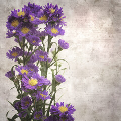 square stylish old textured paper background with small purple aster flowers

