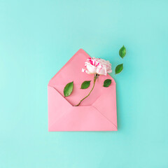 A rose coming out of a pink envelope. Blue background. Rose Petals. Minimal composition.
