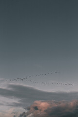 flying over the clouds