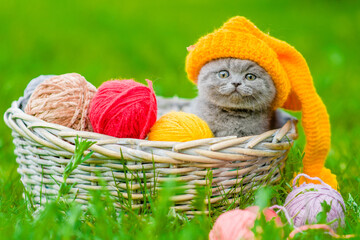 Funny kitten wearing warm hat sits inside a basket with clews of thread on green summer grass