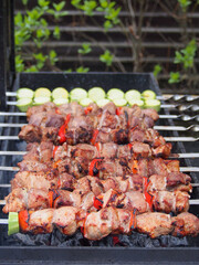 Shashlik on skewers is prepared on the grill over the coals.  Marinated meat is cooked on coals.
