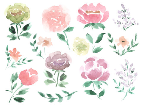 set for a bouquet and patterns of watercolor flowers