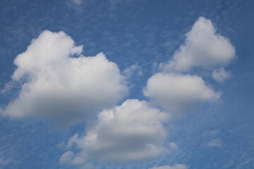 Obraz premium white fluffy clouds on blue sky in summer 