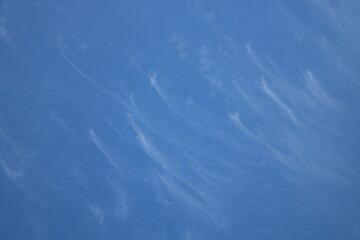 Obraz premium white fluffy clouds on blue sky in summer 