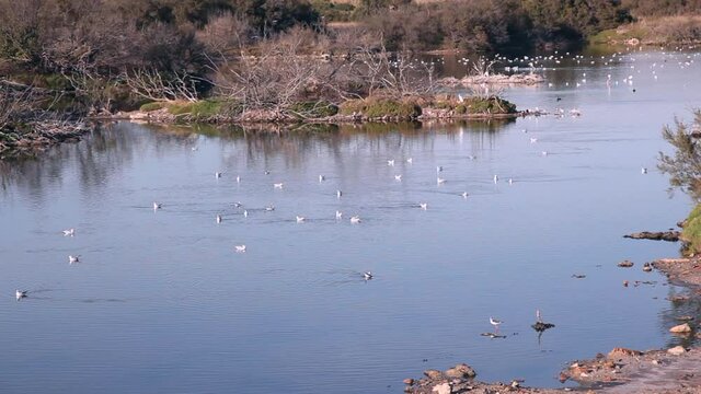 Paraje Natural Desembocadura del Rio Guadalhorce, laguna protegida con anidamiento de 
diversos tipos de aves.