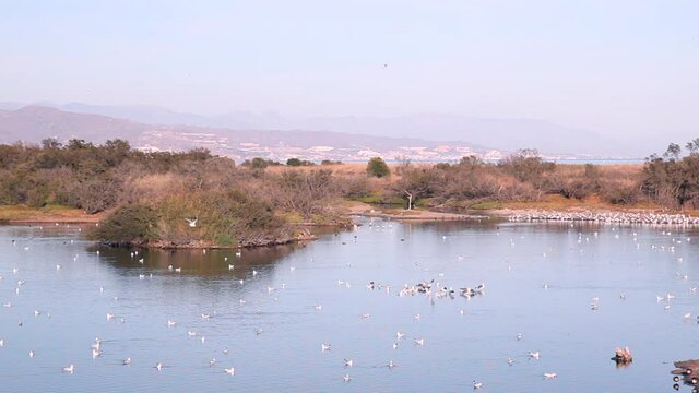 Paraje Natural Desembocadura del Rio Guadalhorce, laguna protegida con anidamiento de 
diversos tipos de aves.