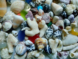Gems, shells and corals laid out on a light background