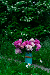 Bouquet of pink peonies in milk can standing on a garden path