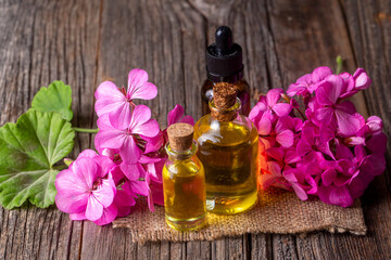 Obraz na płótnie Canvas Fresh geranium flower with geranium essential oil, geranium oil