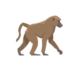 Flat baboon. Vector illustration