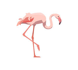Flat flamingo. Vector illustration