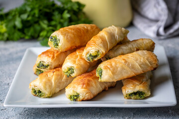 Turkish Tepsi Boregi, Round Borek, Tray pastry (Turkish name; rulo borek - sigara boregi)