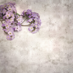 square stylish old textured paper background with small branch of light lilac garden Heliotrope
