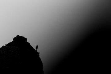 Obraz premium Mountain goat in Montserrat mountain, Barcelona, Spain