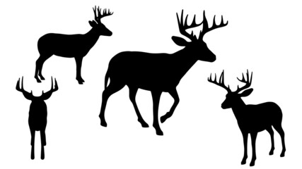 pack of Deers vector silhouette illustration isolated on white background